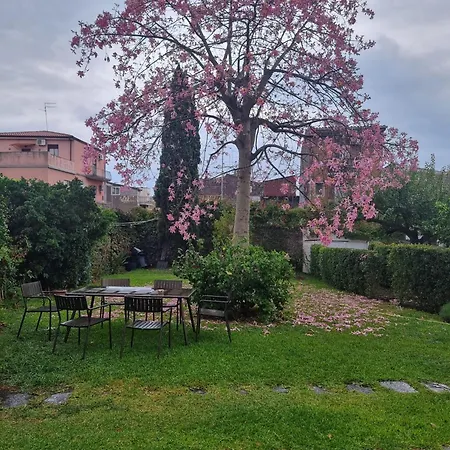 A Casa Nostra * Catania